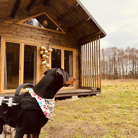 Дом отдыха Aresowa Wioska *