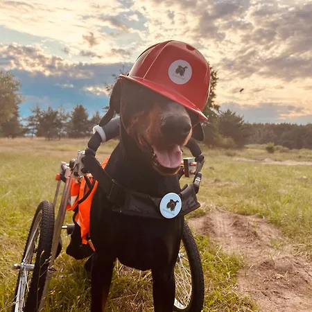 Aresowa Wioska Дом отдыха *