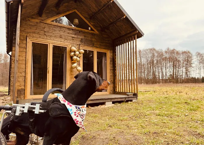 Tatil Evi Aresowa Wioska *