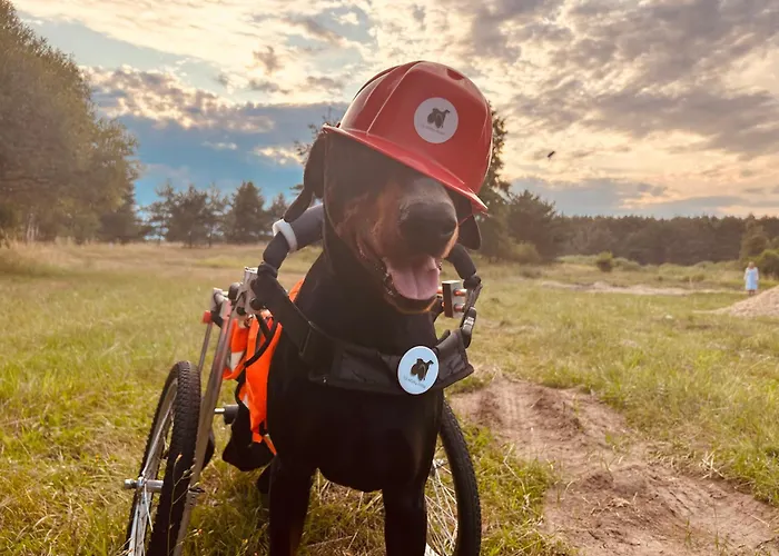 Aresowa Wioska Tatil Evi *