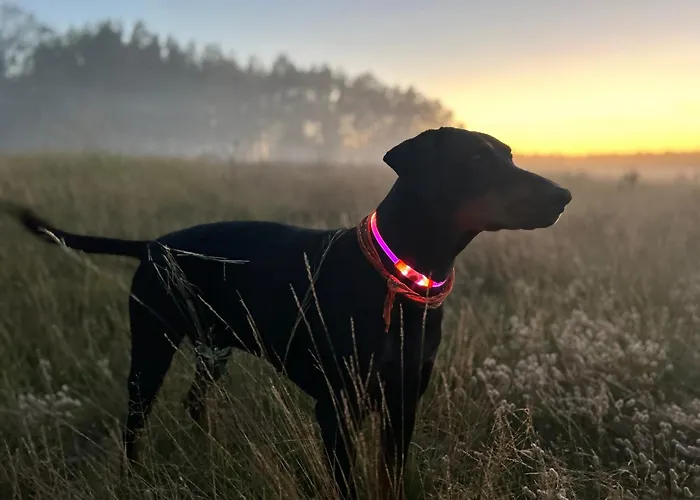 Aresowa Wioska Tatil Evi *