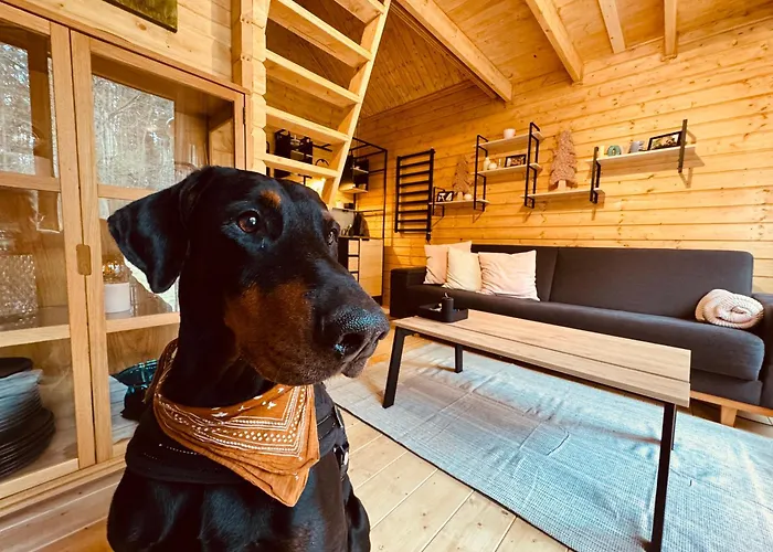 Aresowa Wioska Tatil Evi Jablonka Stara