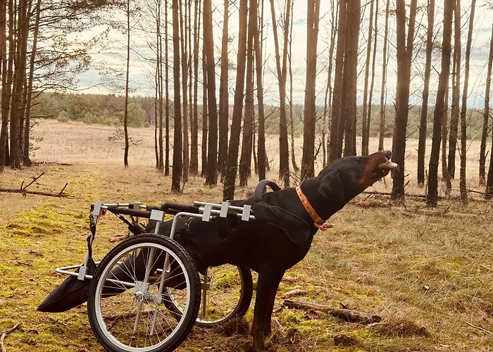 Aresowa Wioska Tatil Evi